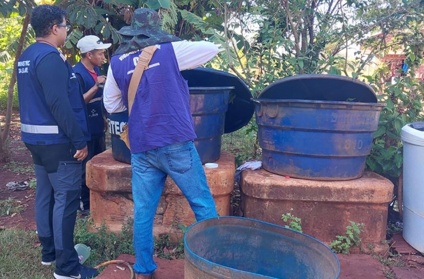  A crise da chikungunya em Dourados: situação de emergência e planos de