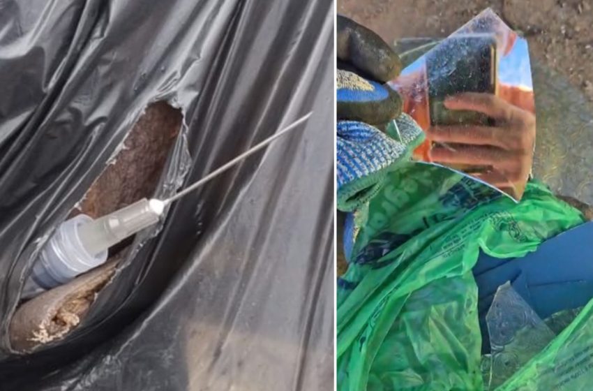  Coletor de São Carlos: um mês de coquetel após perfuração por agulha