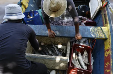 © Fernando Frazão/Agência Brasil