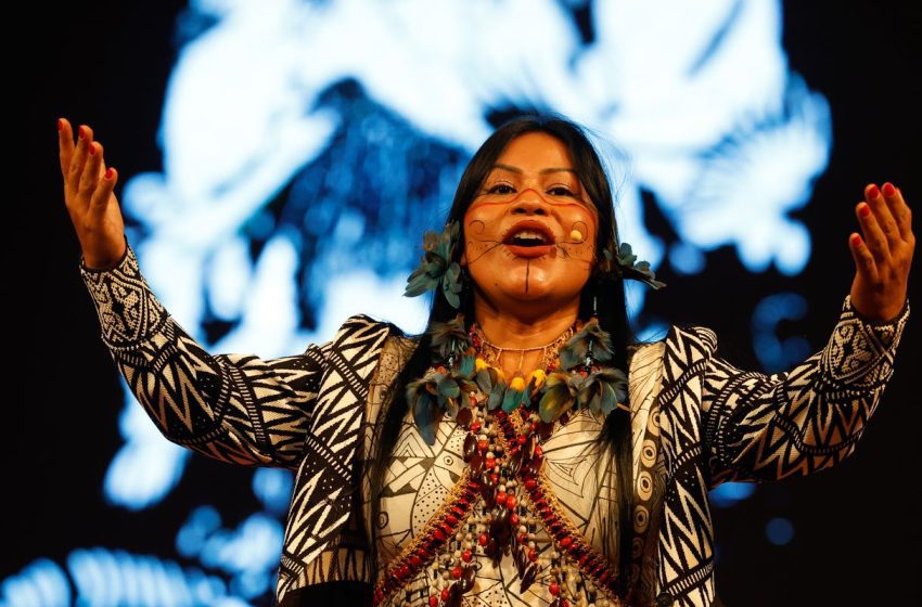  Festival dos Povos da Floresta exalta cultura amazônica em Belém