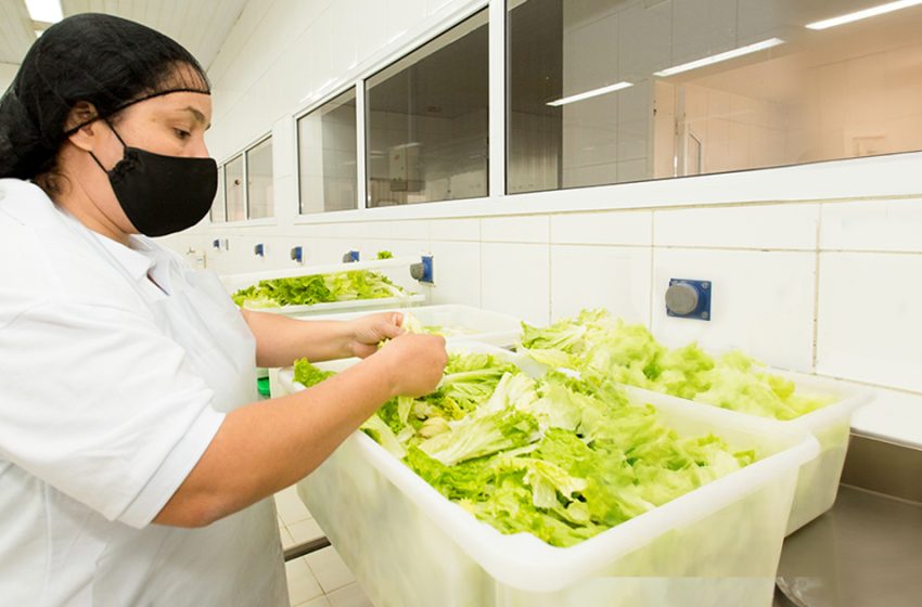  Intoxicação alimentar em casa: como Especialistas ensinam a prevenir riscos