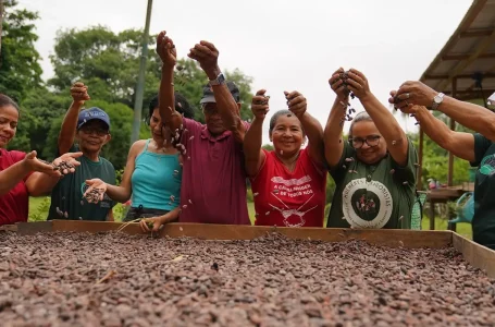 © Foto: Tácio Melo – Instituto Mamirauá