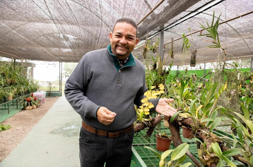  Curso gratuito forma 20 novos apaixonados por orquídeas em Barueri