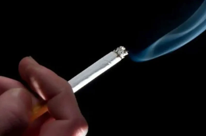  Aditivos em Cigarros: INCA Alerta para Táticas da Indústria e a Defesa da Saúde Pública