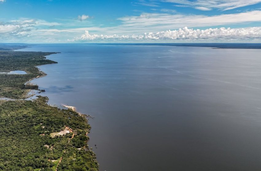  Dia Mundial do Meio Ambiente: Brasil Reforça Urgência da Sustentabilidade