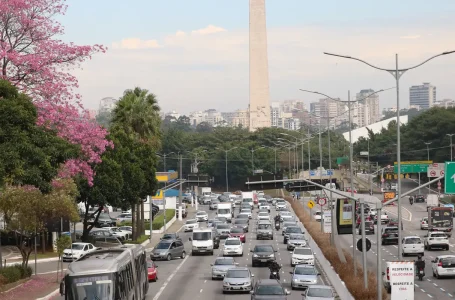© Rovena Rosa/Agência Brasil