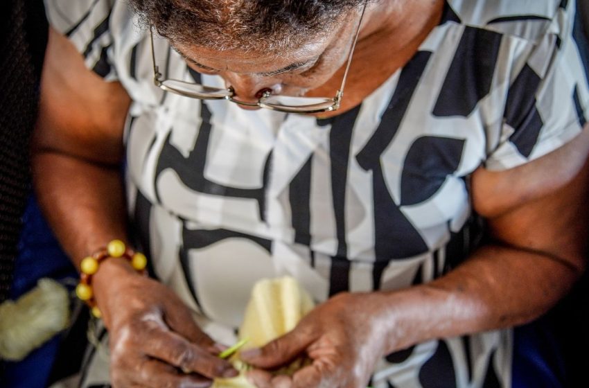  Ministério da Saúde Lança Padi Brasil: Fortalecendo a Atenção Domiciliar para Idosos