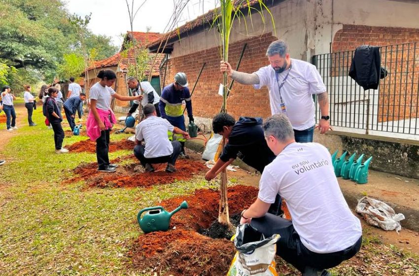  Motiva inicia plantio de mais de 2 mil árvores em ação ambiental no Parque Chácara do Jockey