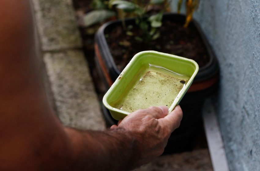  El Niño Acende Sinal de Alerta: Brasil Prepara-se para Potencial Aumento de Dengue e Chikungunya