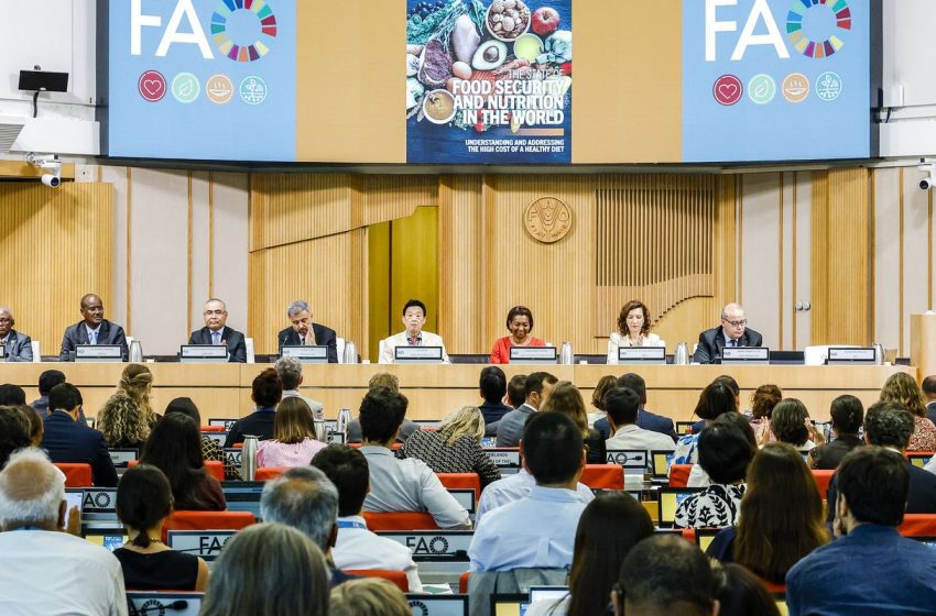  Brasil Consolida Saída do Mapa da Fome da ONU, Aponta Relatório SOFI 2026