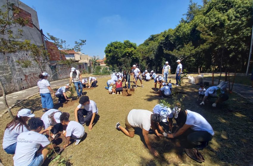  Osasco lança manual de boas práticas e consolida experiência com implantação de mini pomares urbanos