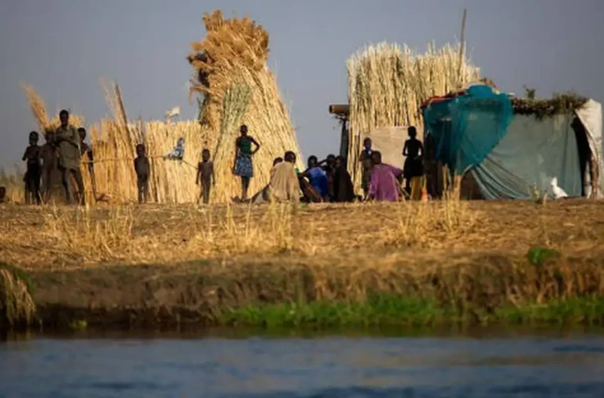  Avanços e Desafios: Fome Mundial Reduz, mas 645 Milhões Ainda Sofrem, Alerta Relatório da ONU