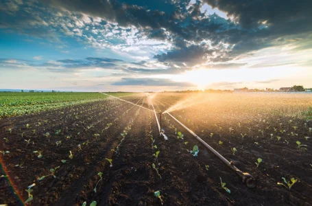Com fomento do SP Produz, CPL de Guaíra expande atuação e se fortalece como polo de irrigaçã…