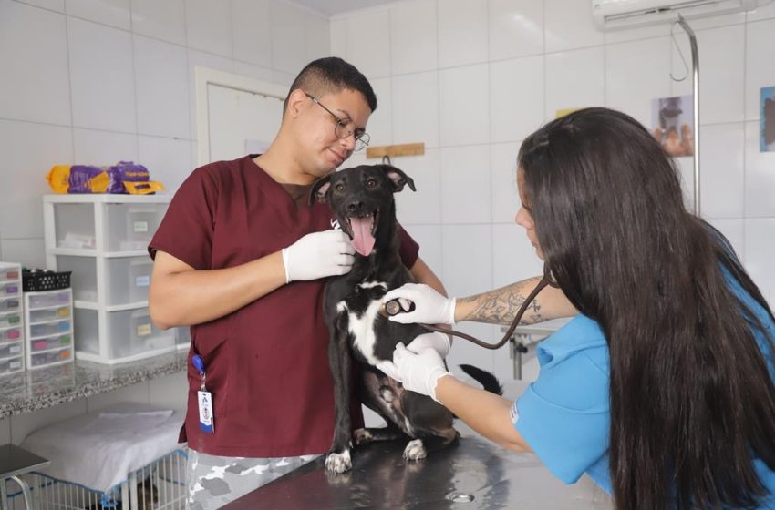  Barueri realiza atendimento veterinário gratuito hoje, (8) no Jardim Belval
