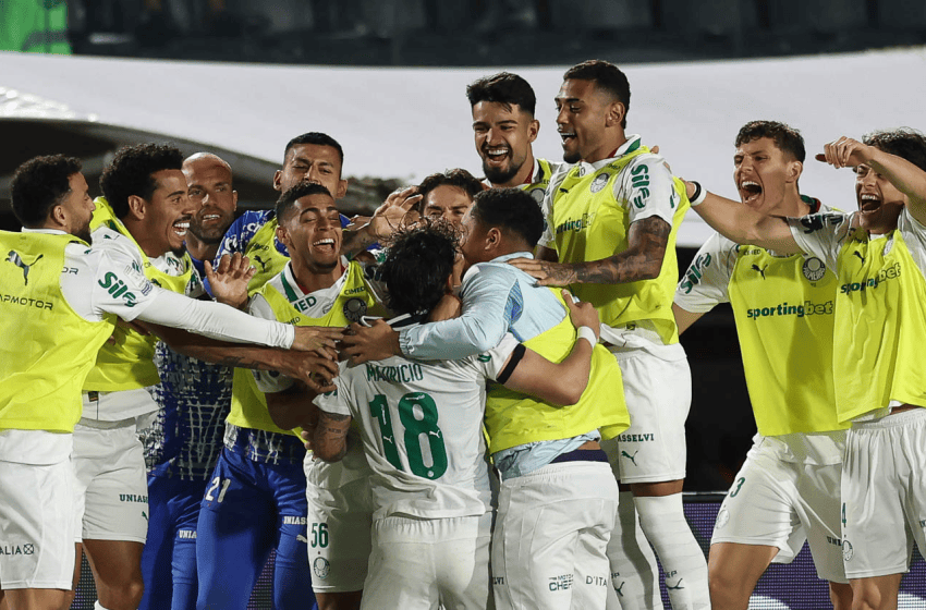  Por que o Palmeiras incomoda tanto?
