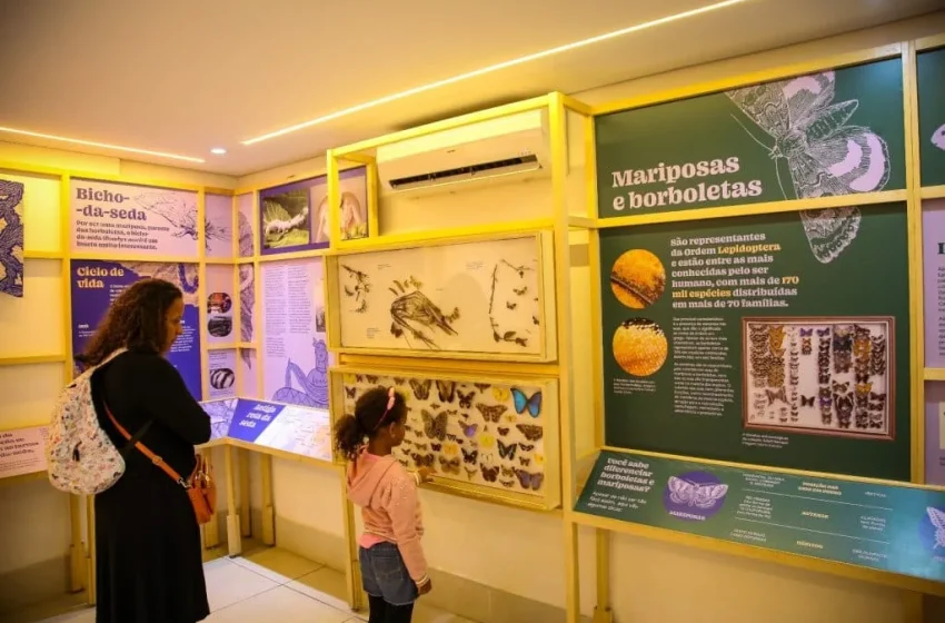  Planeta Inseto: Uma Imersão Gratuita e Fascinante no Mundo dos Insetos na Zona Sul de SP