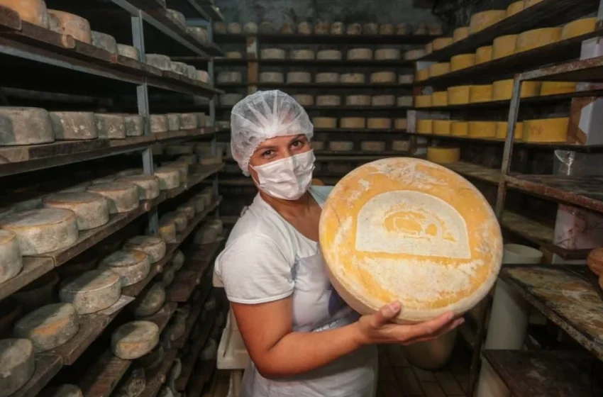  Consumo Consciente: Como os Selos de Inspeção Garantem a Segurança dos Produtos de Origem Animal