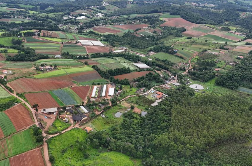  FEIAGRO de Cotia reúne agricultura, negócios, gastronomia e atrações nos dias 14 e 15, em Caucaia do Alto
