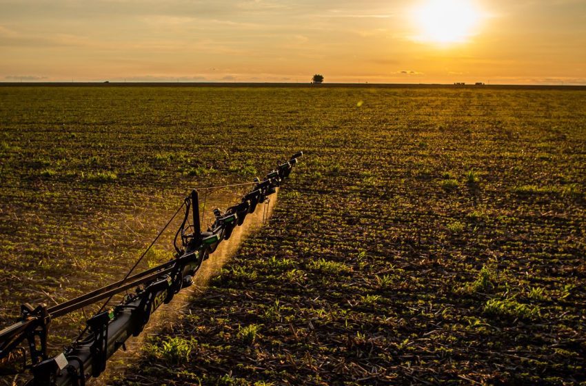  Seguro Rural Brasileiro: Novas Regras Reforçam Proteção e Alavancam Crédito para o Produtor