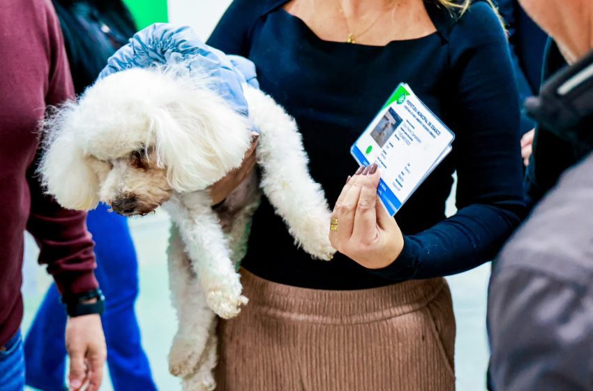  Osasco cria Censo Animal e passa a emitir RG para pets