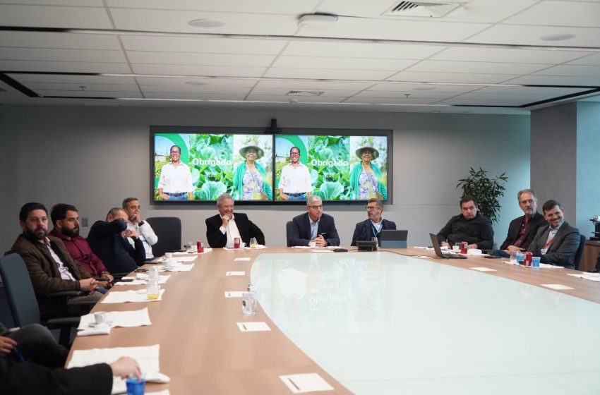  Gregorio Maglio representa o CIOESTE em encontro com a direção da Enel Brasil