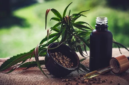 © CBD-Infos-com/ Pixabay