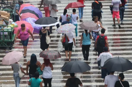 Agência SP, a agência de notícias de São Paulo