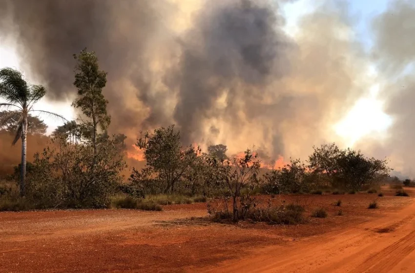  Prevenção de Incêndios Rurais: Estratégias Essenciais para Proteger Sua Propriedade