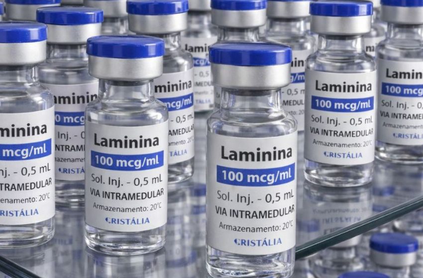  Polilaminina Inicia Testes Clínicos de Fase 1: Nova Esperança para Lesões Medulares