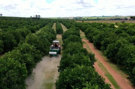 Práticas como terraceamento, barraginhas, plantio em nível e plantio direto reduzem o escoament…