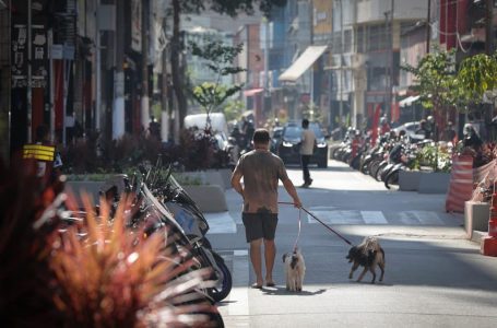 Agência SP, a agência de notícias de São Paulo
