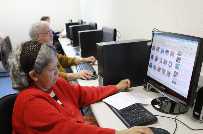  Idosos impulsionam a força de trabalho paulista: um panorama detalhado da participação sênior