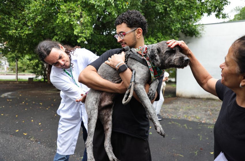  Tutores aproveitam o sábado para vacinar seus pets contra a raiva em Osasco