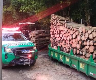  Guarda Ambiental de Cotia prende três por desmatamento no Aguassaí