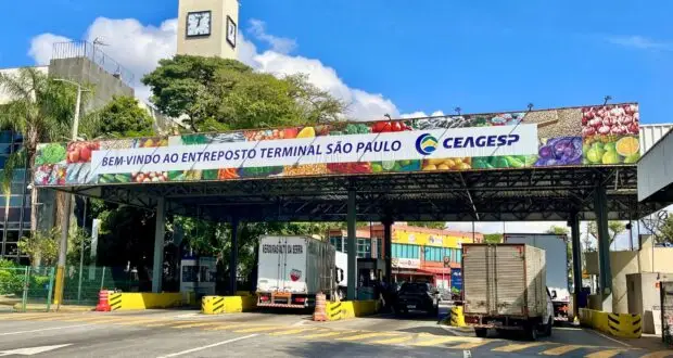  Programa de Estágio da Ceagesp está com inscrições abertas