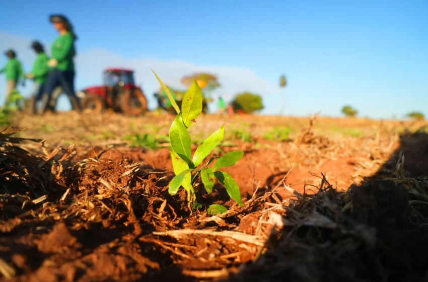  Prêmio SP Carbono Zero Anuncia Vencedores da 2ª Edição e Impulsiona Ação Climática em São Paulo